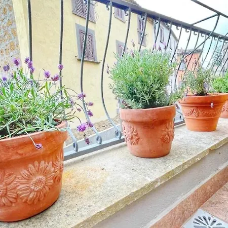 Casa Del Glicine - Monolocale Con Terrazzo Vista Sul Verde, Parcheggio Gratuito E Self Check-in Apartment Bagnoregio